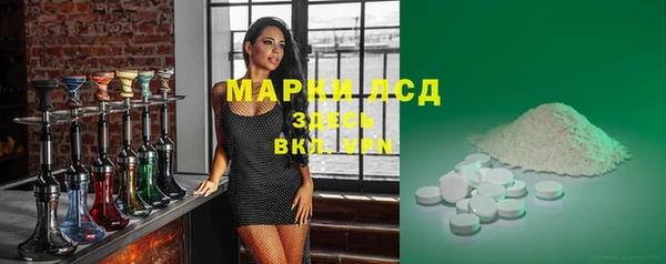 прущие грибы Зеленодольск