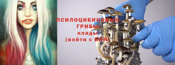 spice Зерноград