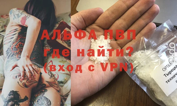 прущие грибы Зеленодольск