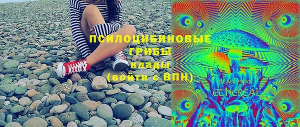 прущие грибы Зеленодольск