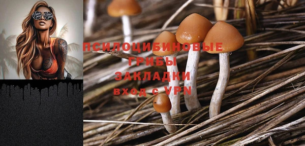 прущие грибы Зеленодольск