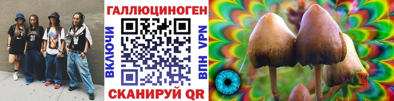 Галлюциногенные грибы мицелий  Старый Крым 